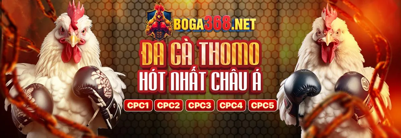 Ưu đãi đặc biệt và sự kiện thường niên tại Vaobo88