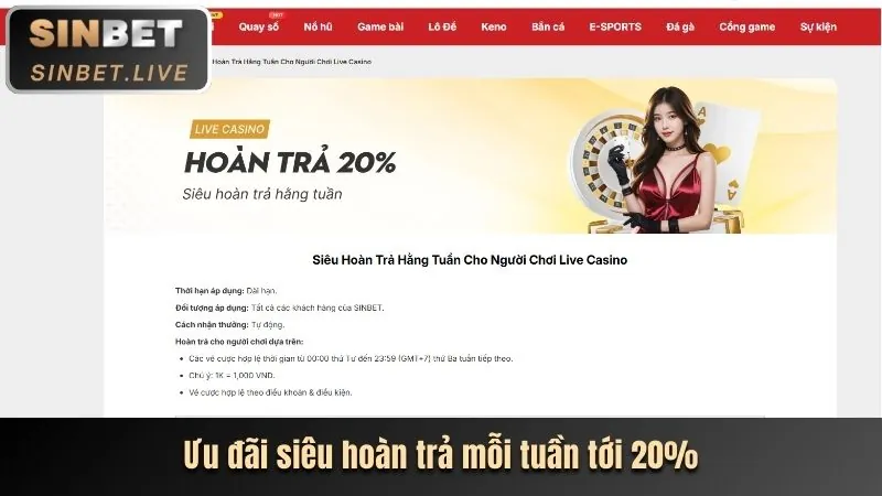 vaobo88 thu thập thông tin người dùng